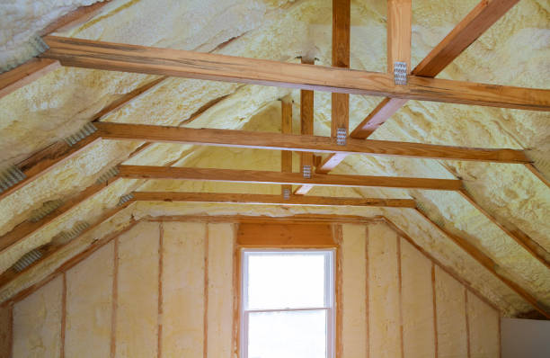 Best DIY Insulation Kits and Guidance in Centreville, MI