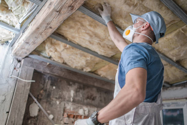 Best Specialized Insulation Services in Centreville, MI