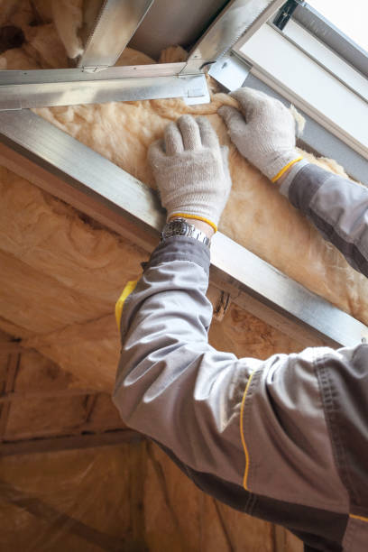 Best DIY Insulation Kits and Guidance in Centreville, MI