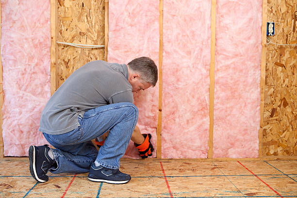 Best Residential Insulation in Centreville, MI
