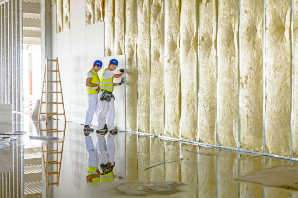 Best Cellulose Insulation in Centreville, MI
